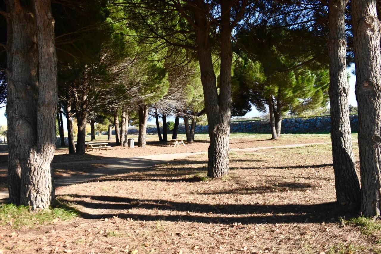 La Solana Villa Saint-Laurent-de-la-Salanque Eksteriør bilde